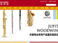 重庆卓音乐器有限公司
